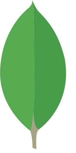 /stack/mongodb.png